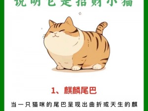 文库零境交错招财猫深度解析：属性特点大揭秘