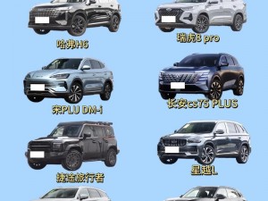 国产 SUV 精品一区二区 6，高性价比之选，畅享舒适驾乘体验