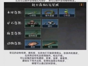 明日之后整蛊奇趣揭秘：整蛊果子秘籍大公开与奇葩道具汇总攻略