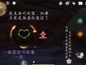 原神：解锁全区域，探寻秘密宝藏——6朵忧昙花全收集攻略详解