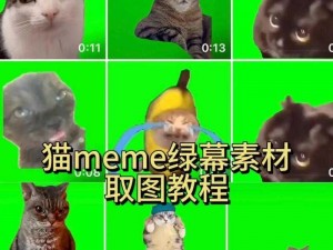 后mememe视频完整版在线观看;如何在线观看后 mememe 视频完整版？