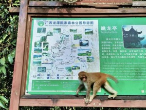 虎穴龙潭：神秘探险之旅与深藏不露的历史揭秘