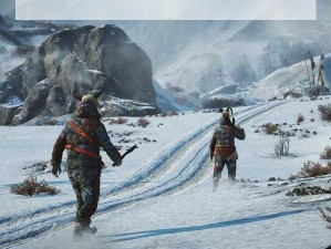 孤岛惊魂4游戏启动出现FarCry停止工作错误解决方案探究