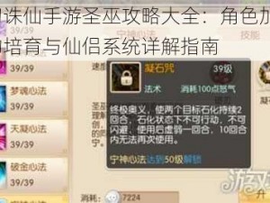 梦幻诛仙手游圣巫攻略大全：角色加点、宠物培育与仙侣系统详解指南