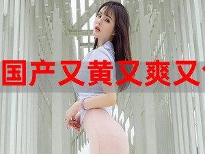 强弙videosHD 人妻本，一款满足你所有幻想的高清视频资源