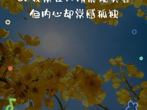 抖音旋律唤醒心之孤独，谁的情感在音符中悄然留下？