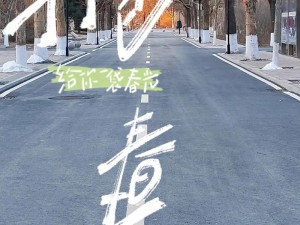 抖音热门歌曲：8090后的青春分叉路口之歌，岁月流转的最佳旋律