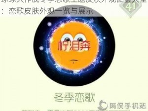 球球大作战冬季恋歌主题皮肤外观图鉴大全：恋歌皮肤外观一览与展示