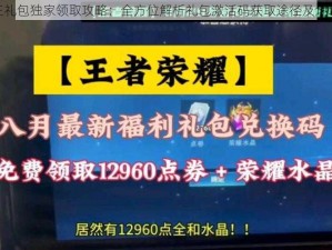 色子王礼包独家领取攻略：全方位解析礼包激活码获取途径及地址大全