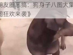 《朋友圈恶搞：狗身子八图大集合，拼图狂欢来袭》