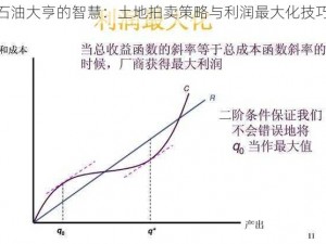 石油大亨的智慧：土地拍卖策略与利润最大化技巧