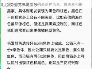 猫咪毛发全解析：深入了解猫咪的浓密之皮，揭开毛色纹理的神秘面纱