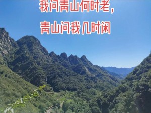 青山撞我BYhelaxi(神秘的青山，为何撞我 BYhelaxi？)