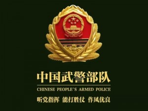 国产ChinaGary武警;如何评价国产 ChinaGary 武警？