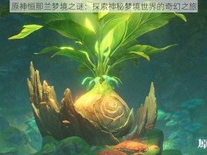 原神恒那兰梦境之谜：探索神秘梦境世界的奇幻之旅