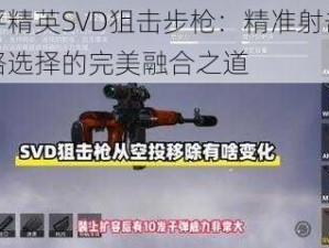 和平精英SVD狙击步枪：精准射击与战略选择的完美融合之道