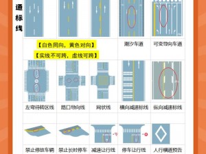 驻足新区新手宝典：入门攻略大揭秘