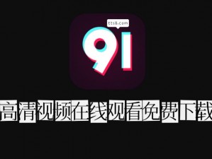 91下载网站(91 下载网站是否安全？)