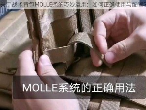 关于战术背包MOLLE条的巧妙运用：如何正确使用与配置？