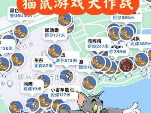 猫鼠大战：快速升级到30级的策略与冒险之旅