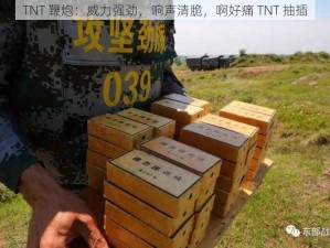 TNT 鞭炮：威力强劲，响声清脆，啊好痛 TNT 抽插