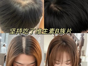 女性藏 b 与汉 b 的区别：藏 b 更注重实用性，汉 b 更注重装饰性