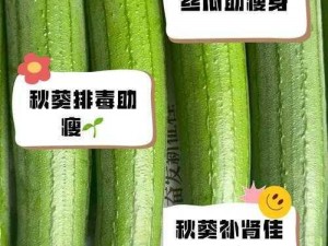 草莓丝瓜秋葵绿巨人乳液做法、草莓丝瓜秋葵绿巨人乳液的制作方法