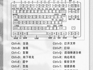 Apex键盘按键功能全面图解解析