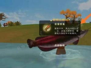 创造与魔法：探索鱼获之道，掌握捕鱼魔法之秘