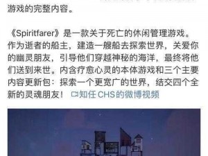 灵魂旅人利润公司寻老板之旅：方法与策略全解析