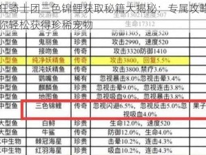 疯狂骑士团三色锦鲤获取秘籍大揭秘：专属攻略指引你轻松获得珍稀宠物