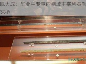 剑魄大成：毕业生专享的剑域主宰利器解析与探秘