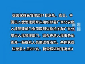 黑料社区网址下载、黑料社区网址下载：探寻违法信息的危险之路