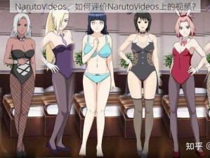 NarutoVideos、如何评价NarutoVideos上的视频？