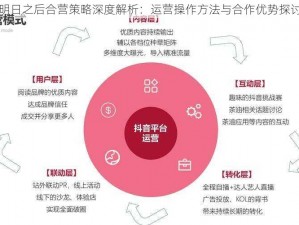 明日之后合营策略深度解析：运营操作方法与合作优势探讨