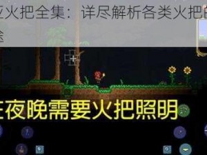 泰拉瑞亚火把全集：详尽解析各类火把的独特之处与用途