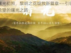 曙光初照，黎明之花绽放新篇章——引领希望的曙光之路