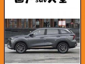 国产suv一区二区6-在国产 SUV 一区二区 6 中，哪款车型更适合家庭使用？