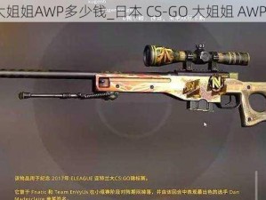 日本CS-GO大姐姐AWP多少钱_日本 CS-GO 大姐姐 AWP 价格是多少？