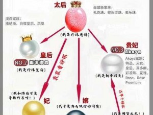 梦幻西游珍珠获取攻略：珍珠获得方法详解与珍贵道具获取途径探索