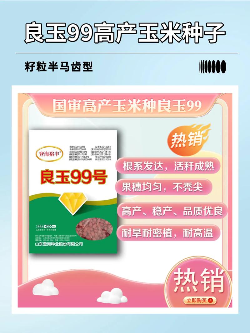 99 精产国品一二三产区,你值得拥有的高品质产品