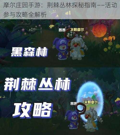 摩尔庄园手游:荆棘丛林探秘指南——活动参与攻略全解析