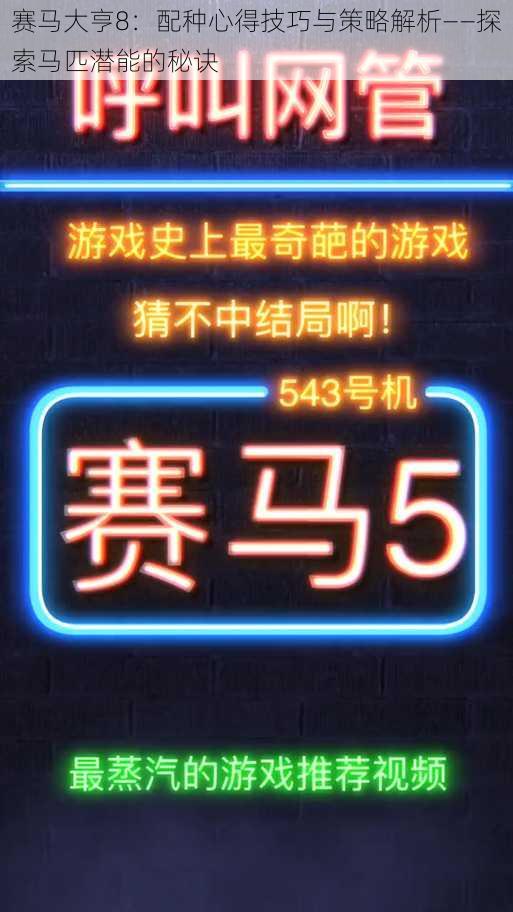 赛马大亨8:配种心得技巧与策略解析——探索马匹潜能的秘诀