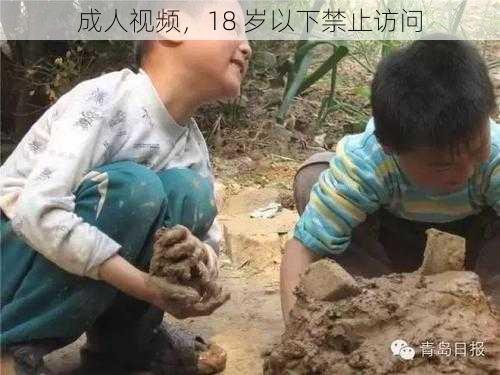 成人视频,18 岁以下禁止访问