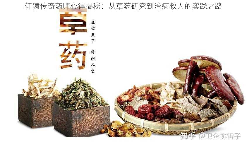 轩辕传奇药师心得揭秘:从草药研究到治病救人的实践之路