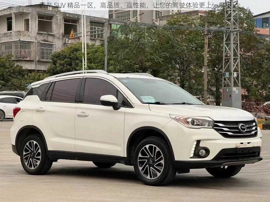 国产 SUV 精品一区，高品质、高性能，让您的驾驶体验更上一层楼