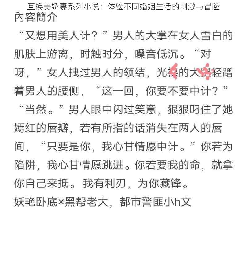 互换美娇妻系列小说:体验不同婚姻生活的刺激与冒险