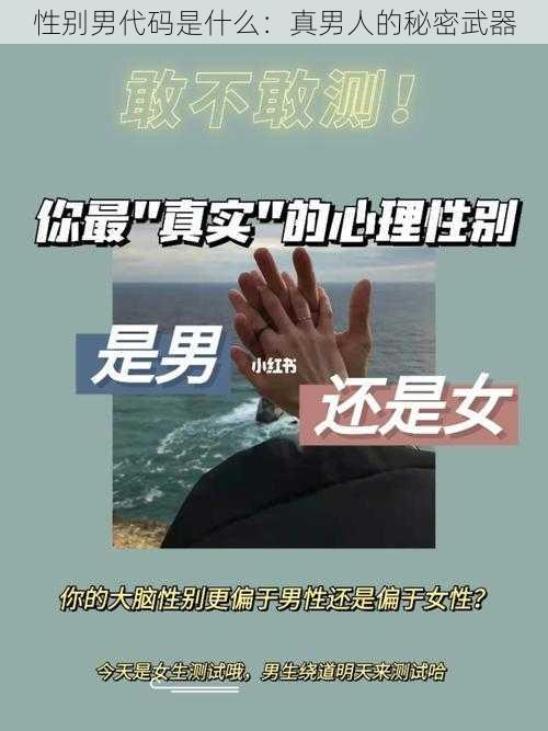 性别男代码是什么:真男人的秘密武器