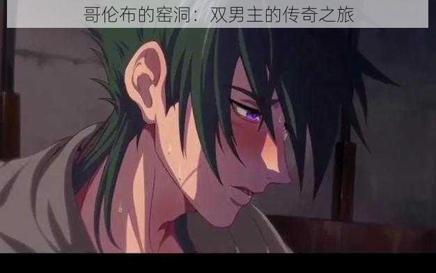 哥伦布的窑洞:双男主的传奇之旅