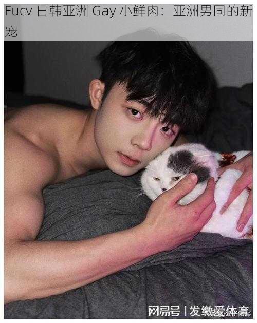 Fucv 日韩亚洲 Gay 小鲜肉:亚洲男同的新宠